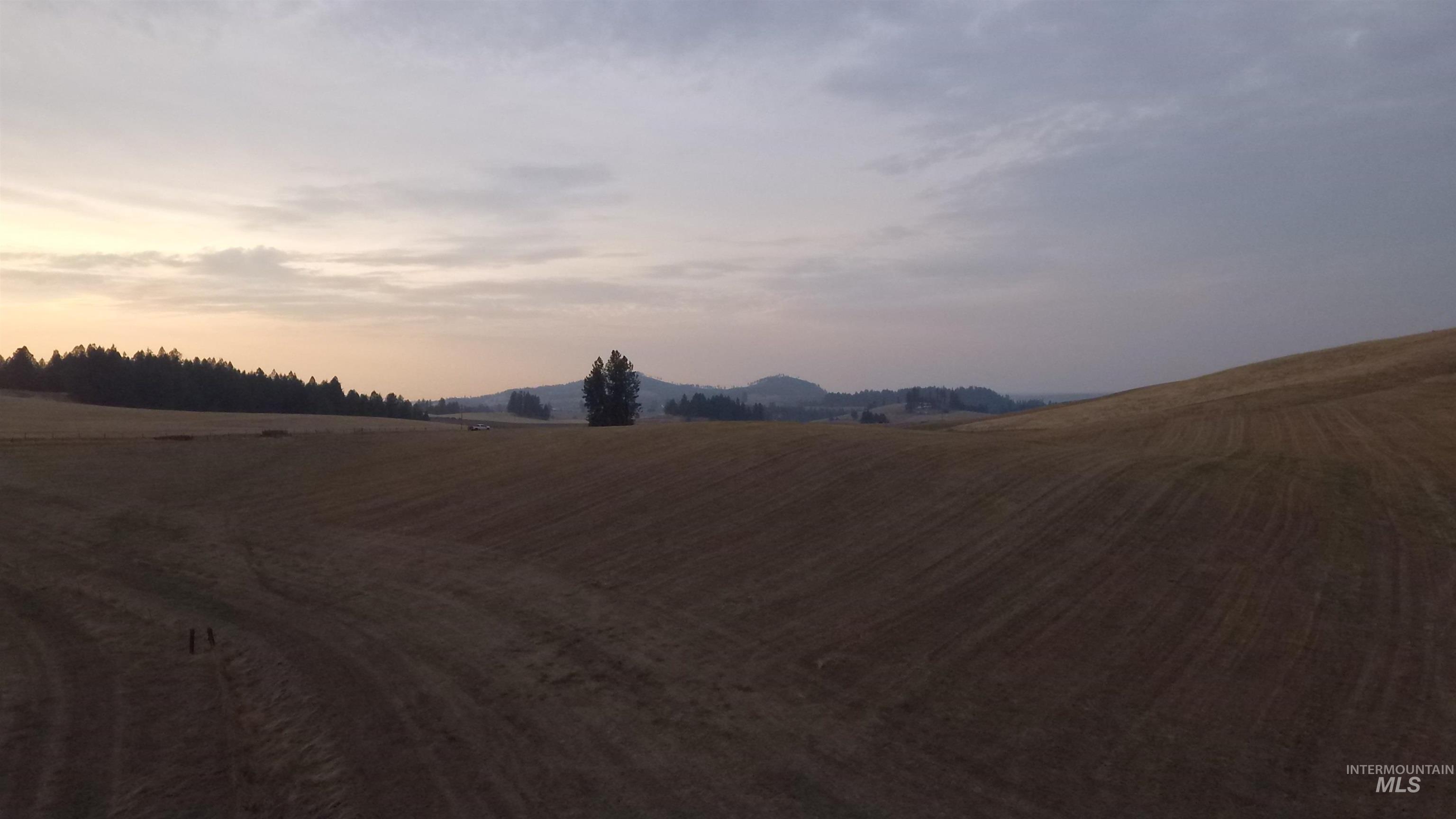 Tbd Harrisburg Road Kamiah, ID 83536 - Photo 33 of 48 Yard at dusk with a rural view and a mountain view