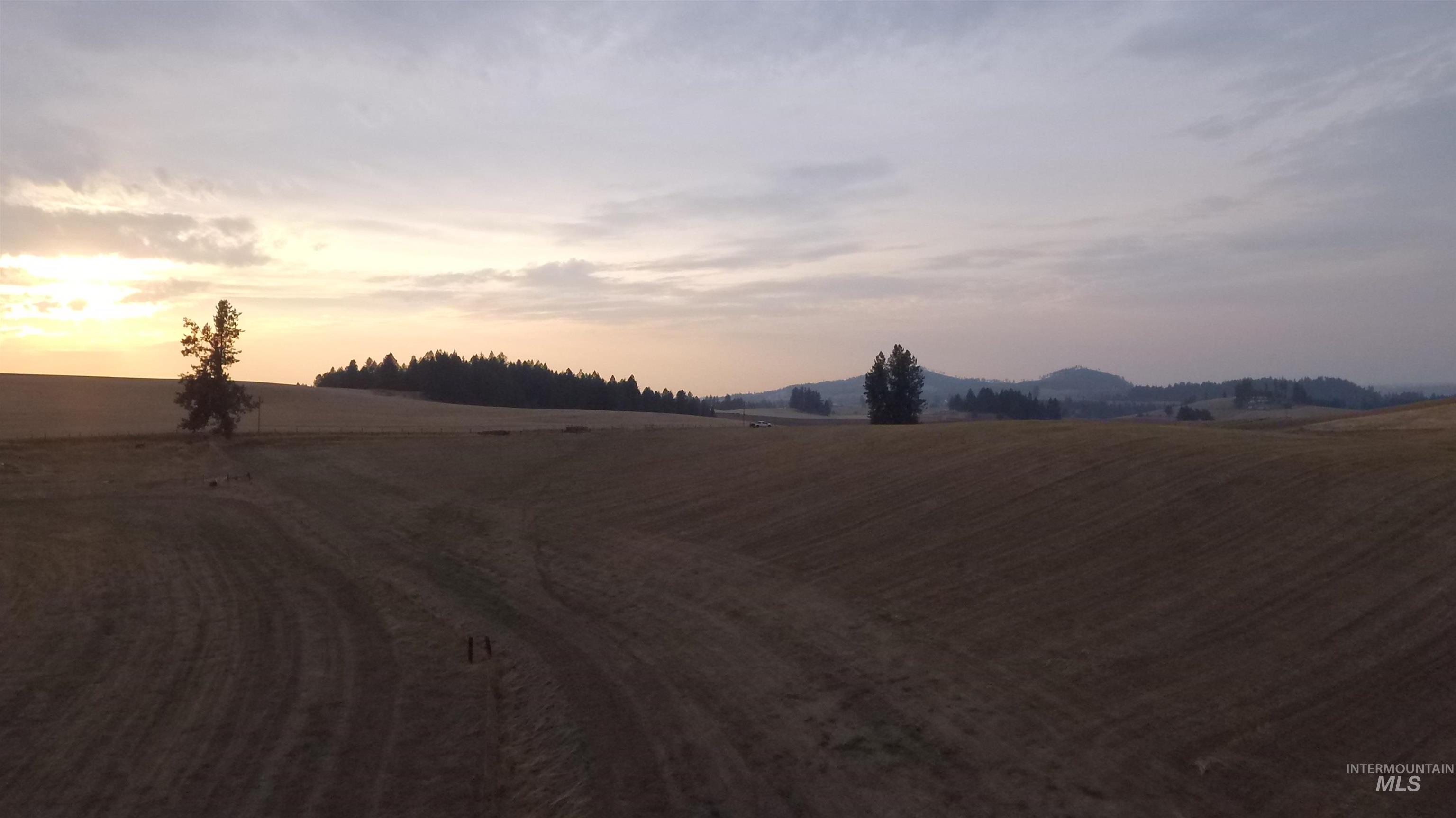 Tbd Harrisburg Road Kamiah, ID 83536 - Photo 34 of 48 Yard at dusk with a rural view