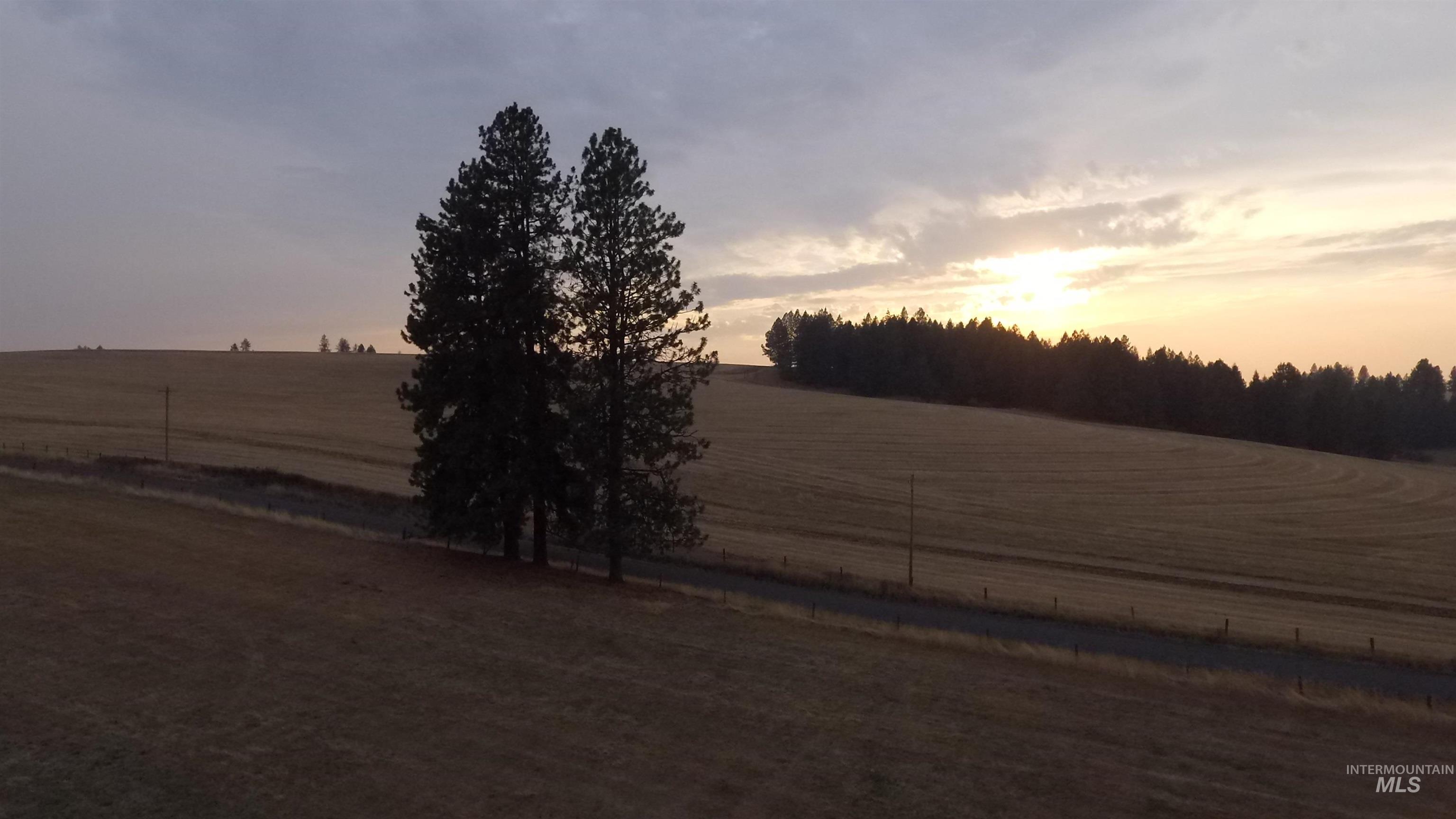 Tbd Harrisburg Road Kamiah, ID 83536 - Photo 37 of 48 View of yard with a view of countryside