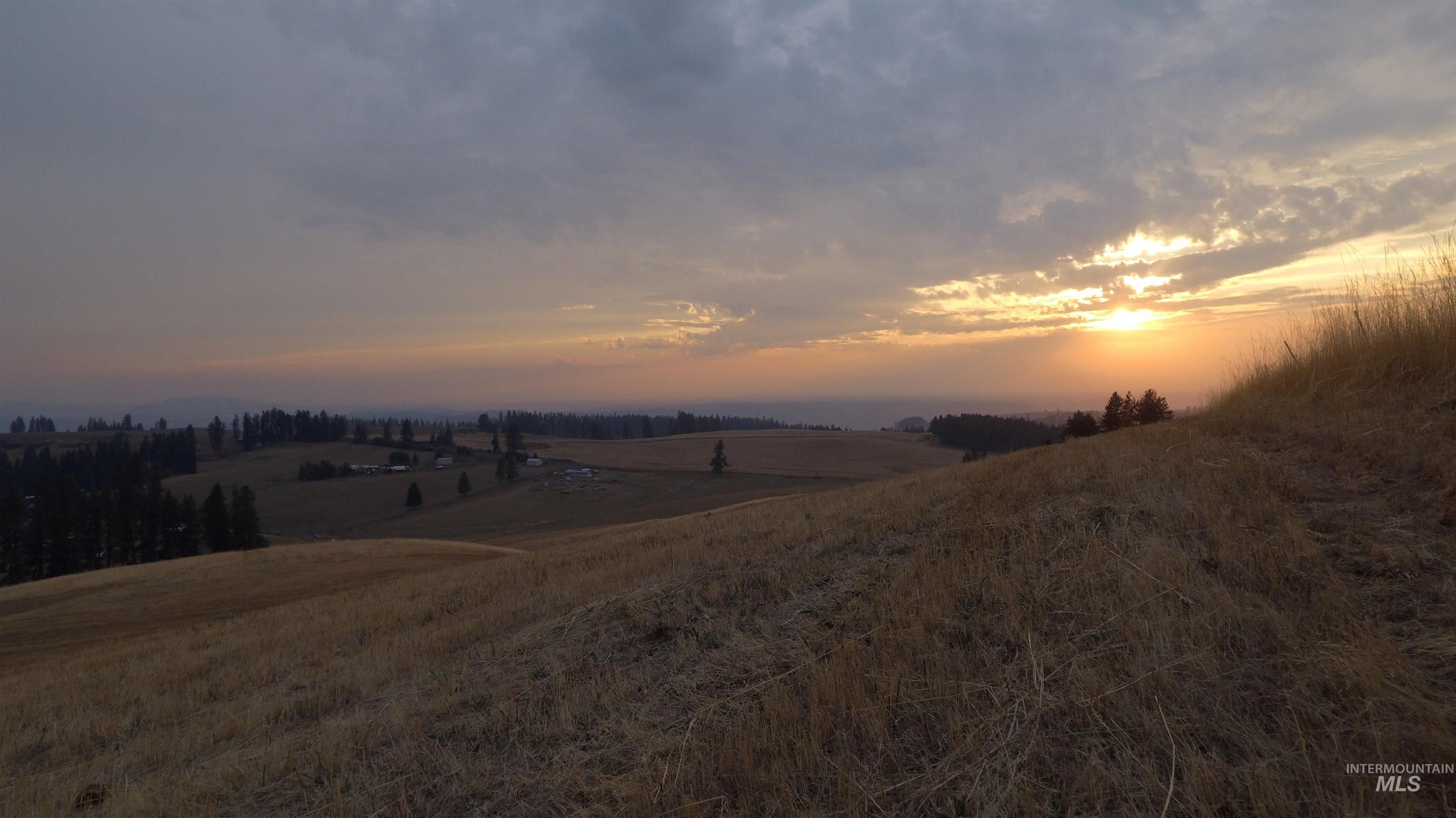Tbd Harrisburg Road Kamiah, ID 83536 - Photo 38 of 48 Yard at dusk with a rural view