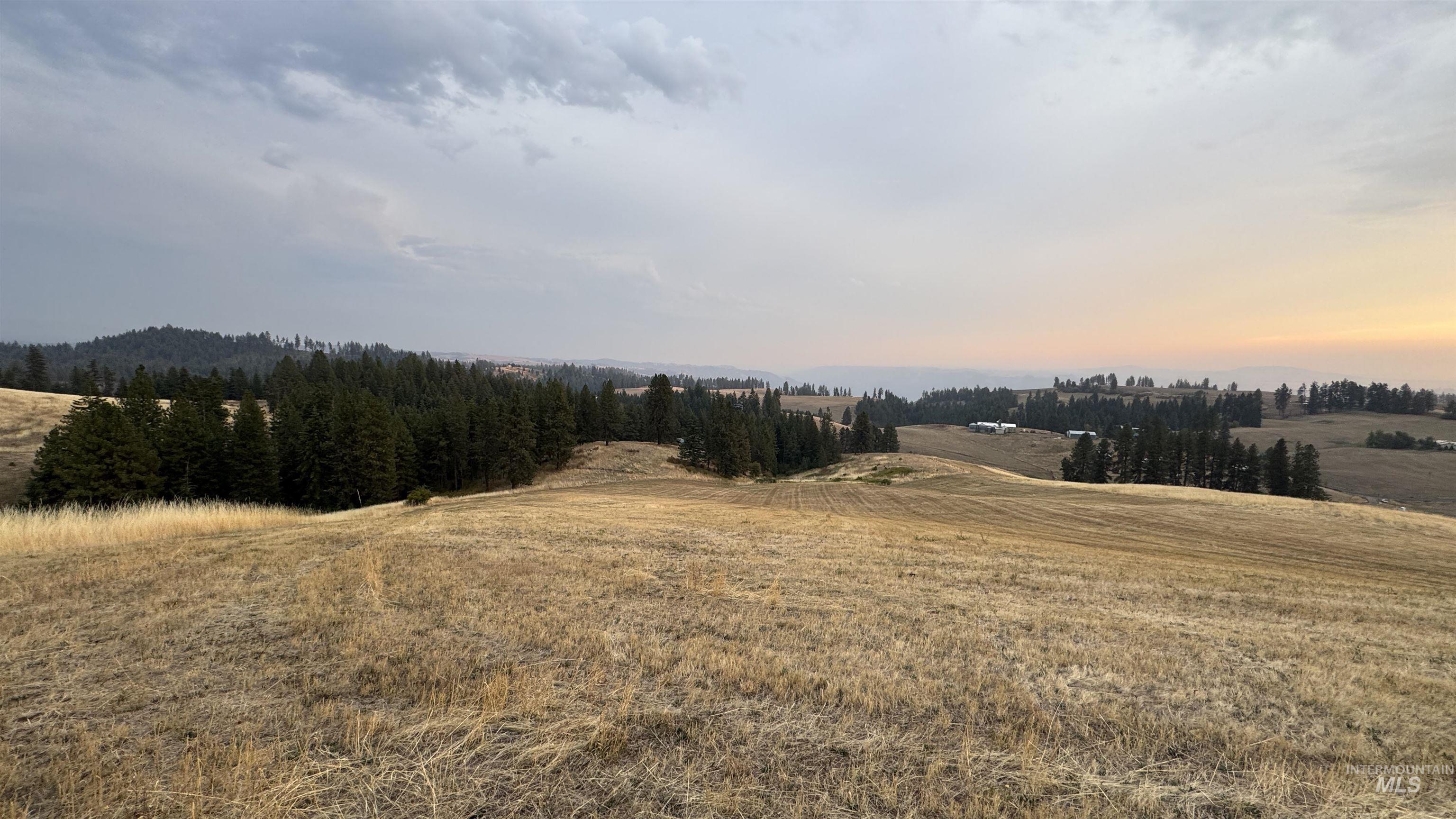 Tbd Harrisburg Road Kamiah, ID 83536 - Photo 4 of 48 View of nature with rural landscape