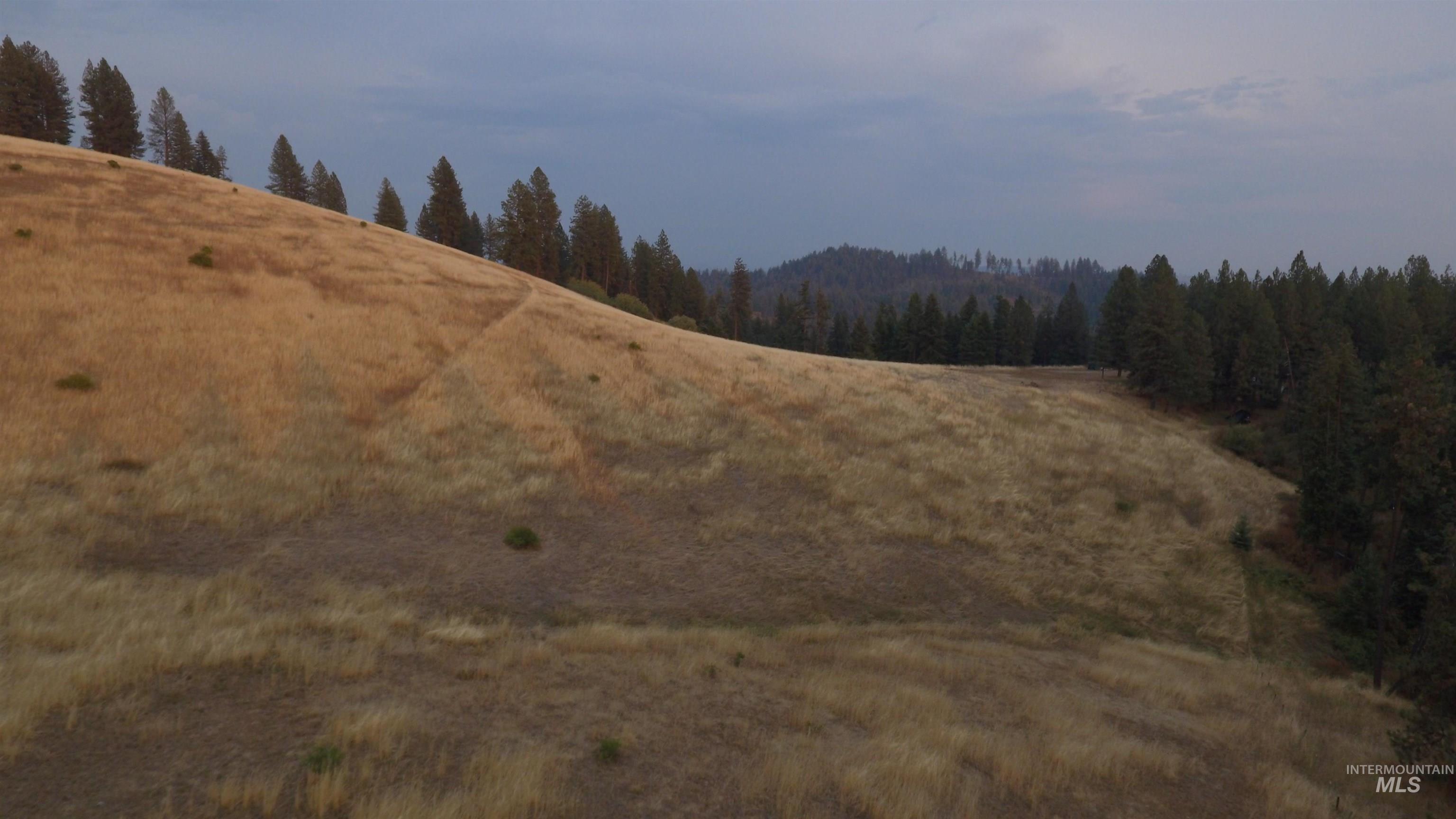Tbd Harrisburg Road Kamiah, ID 83536 - Photo 42 of 48 View of mountain background
