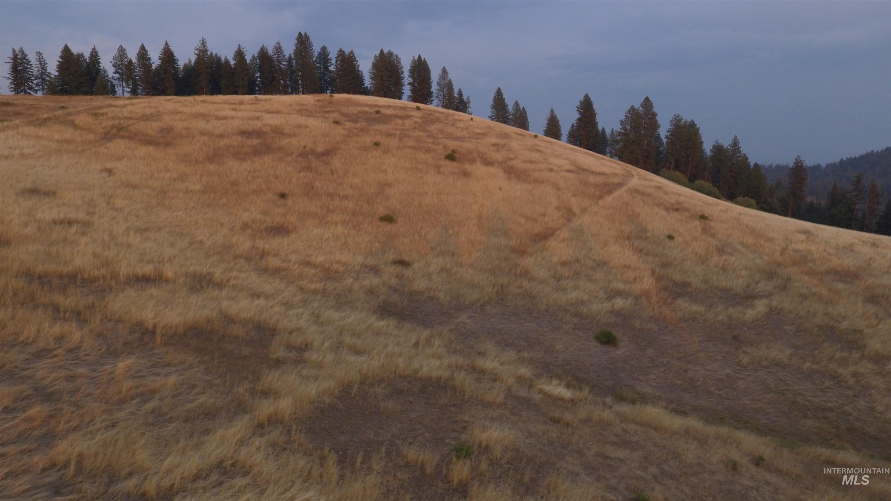 Tbd Harrisburg Road Kamiah, ID 83536 - Photo 43 of 48 View of undeveloped land