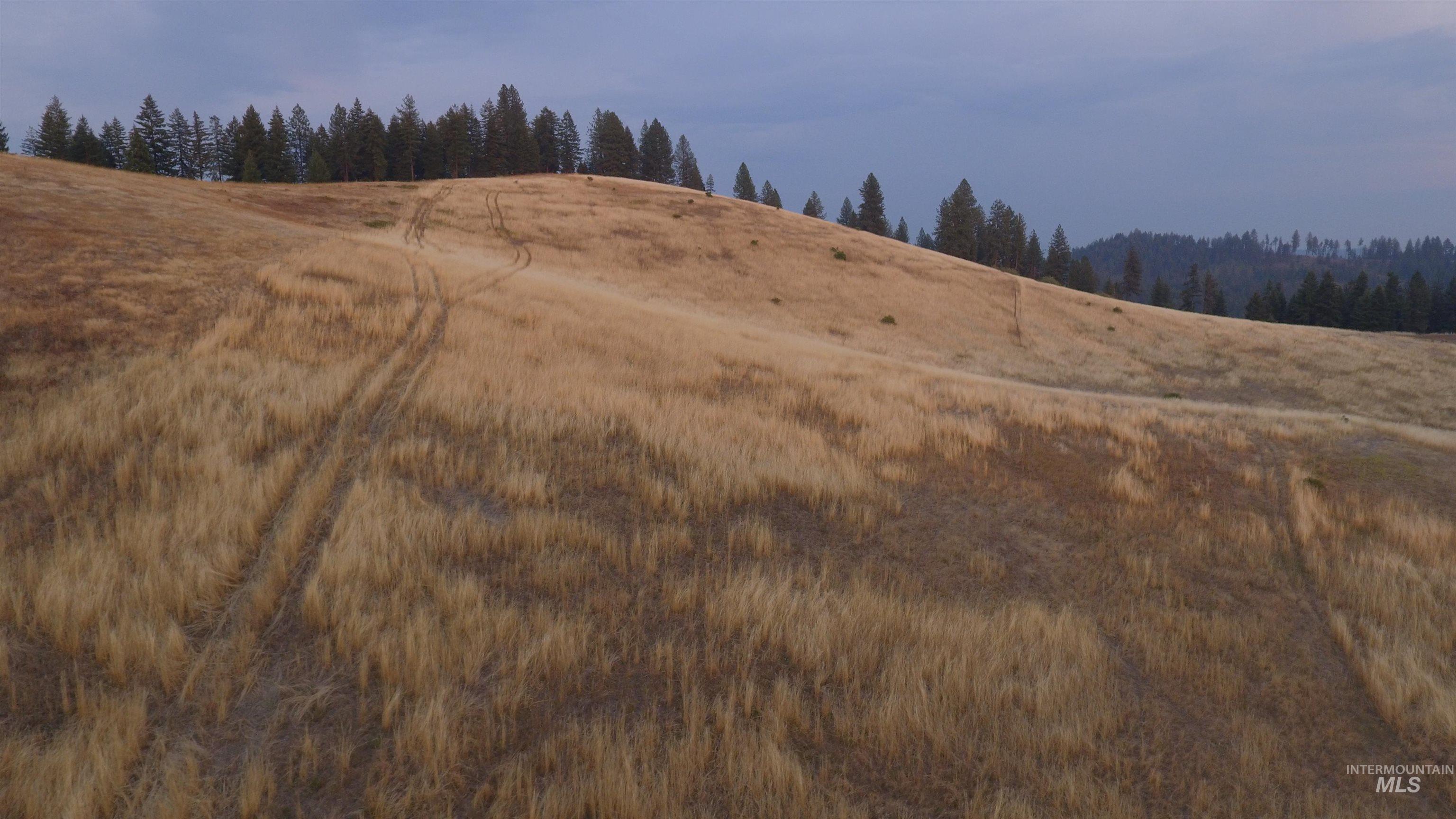 Tbd Harrisburg Road Kamiah, ID 83536 - Photo 45 of 48 View of wooded area with a rural view