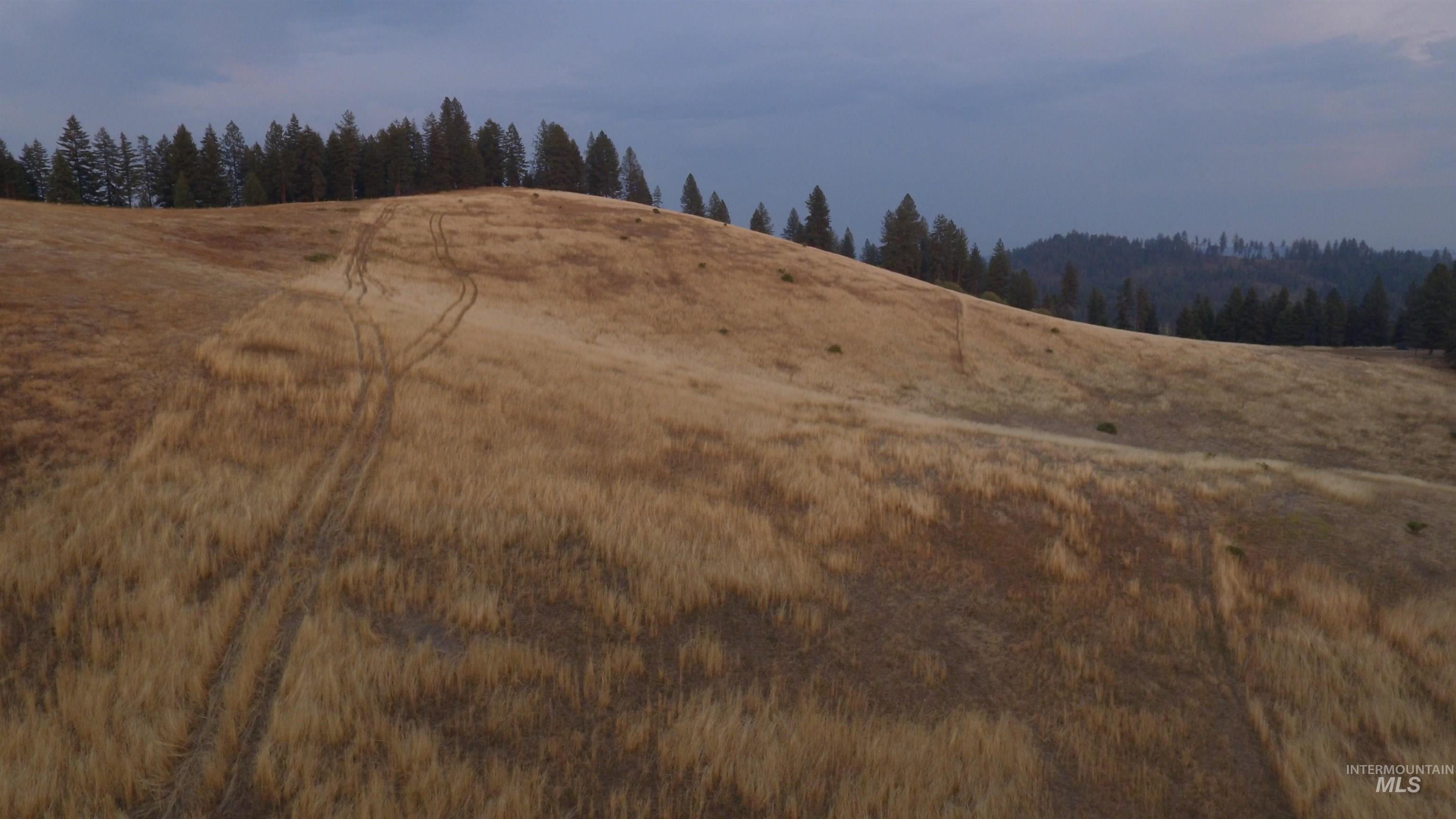 Tbd Harrisburg Road Kamiah, ID 83536 - Photo 46 of 48 View of wooded area