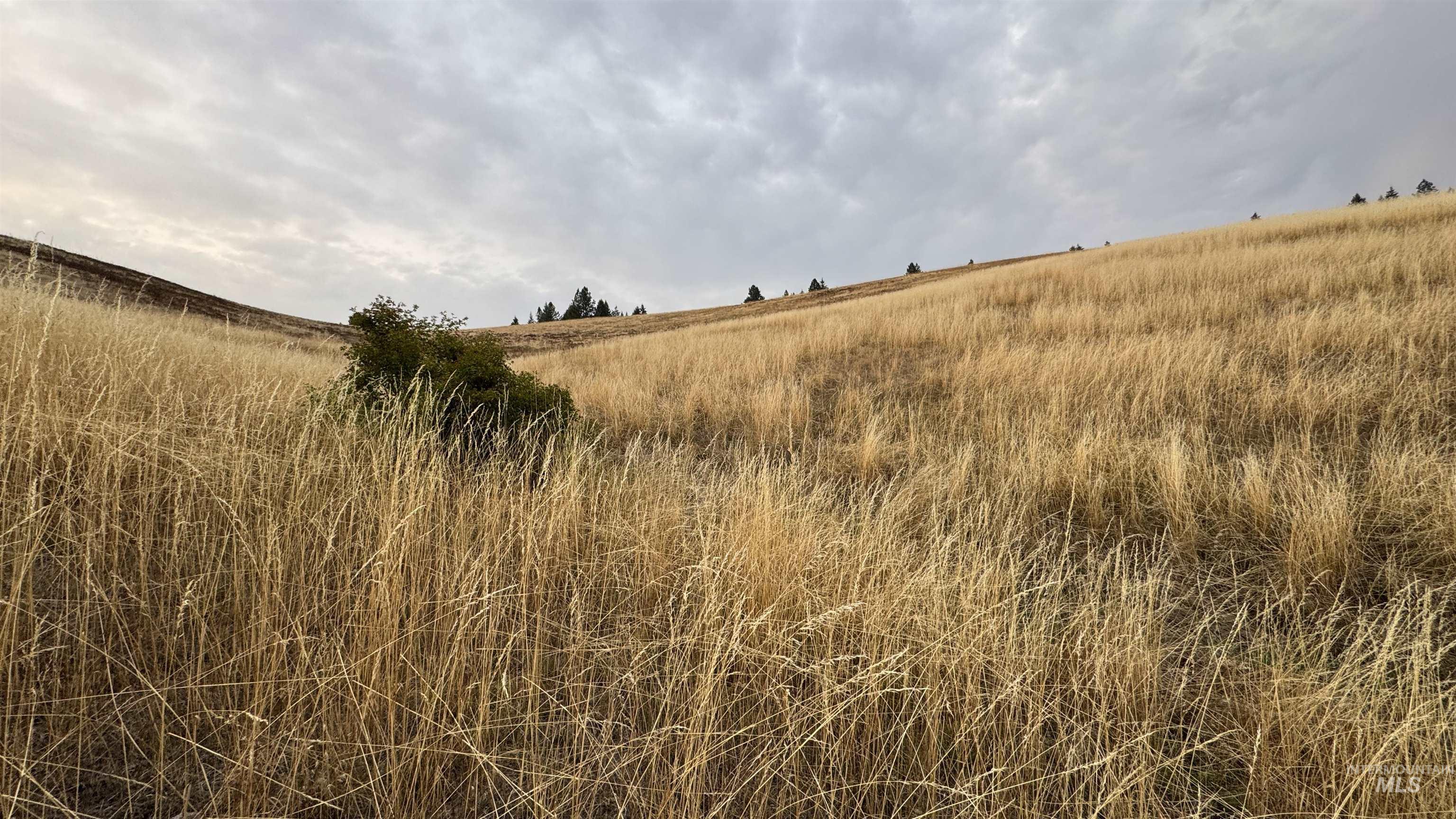 Tbd Harrisburg Road Kamiah, ID 83536 - Photo 8 of 48 View of nature with rural landscape