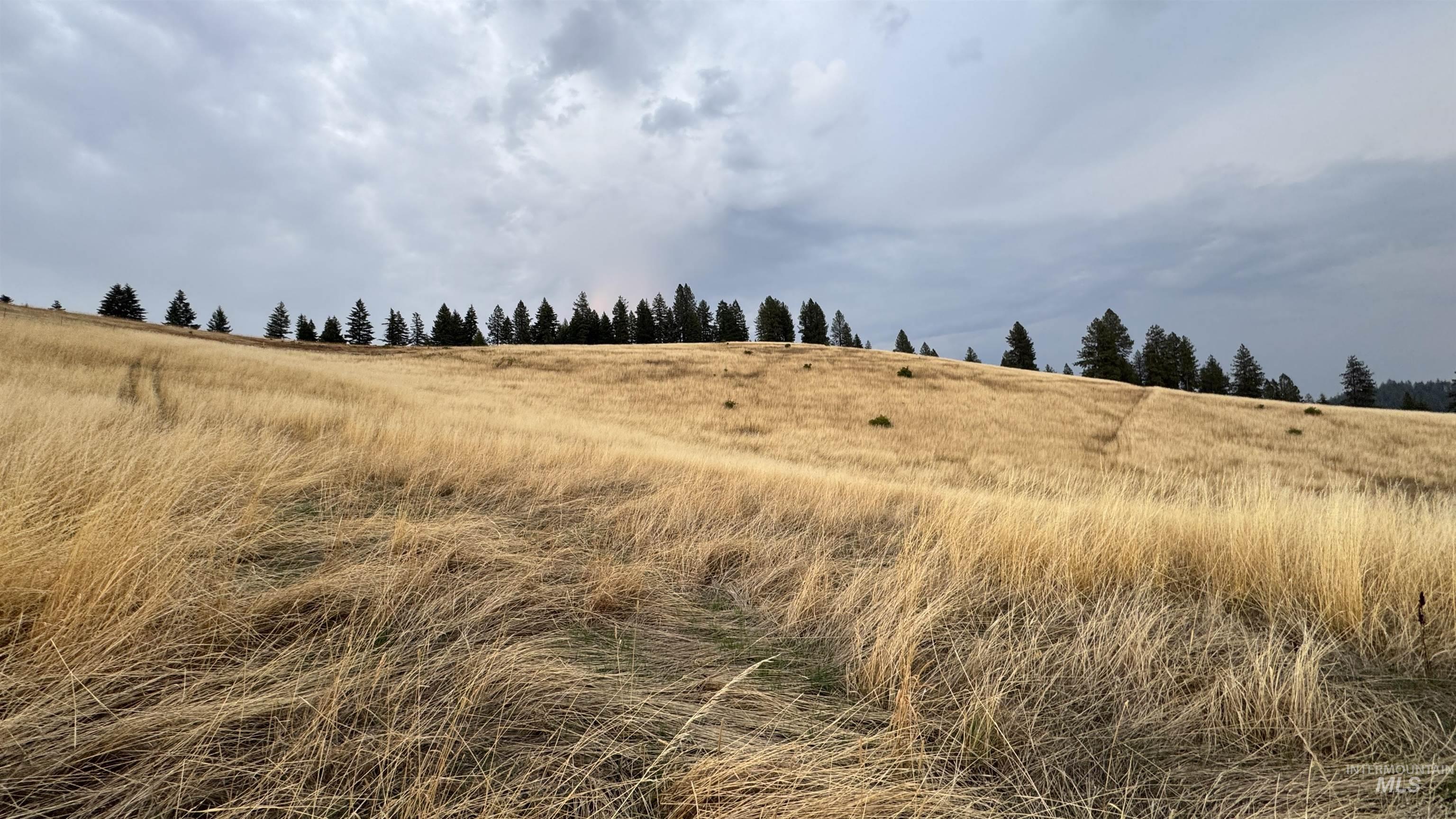Tbd Harrisburg Road Kamiah, ID 83536 - Photo 9 of 48 View of local wilderness featuring rural landscape