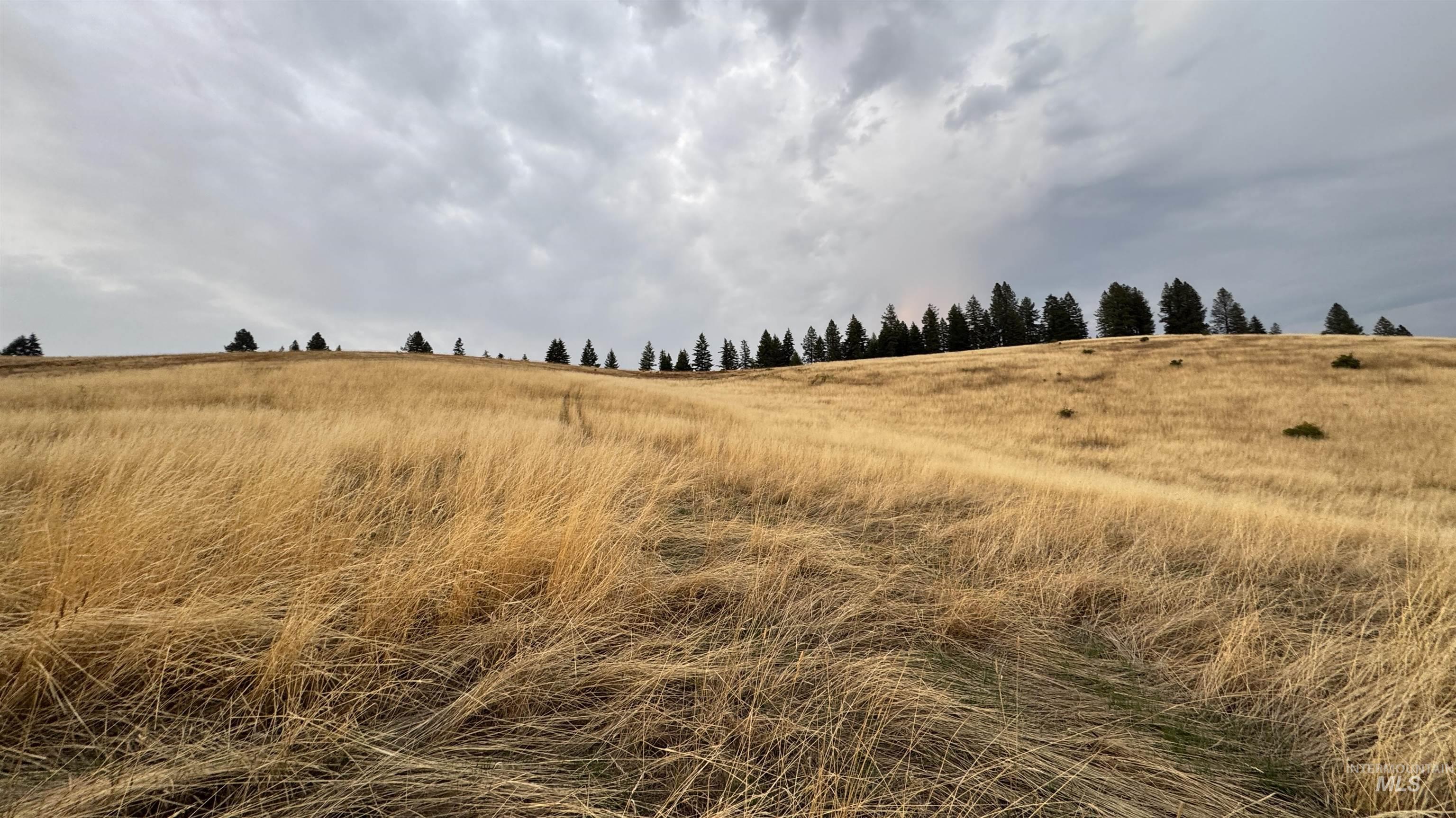 Tbd Harrisburg Road Kamiah, ID 83536 - Photo 10 of 48 View of undeveloped land featuring rural landscape