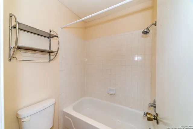 a bathroom with a toilet and a bathtub