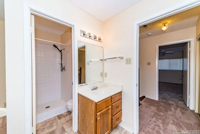 a bathroom with a sink a mirror and a shower