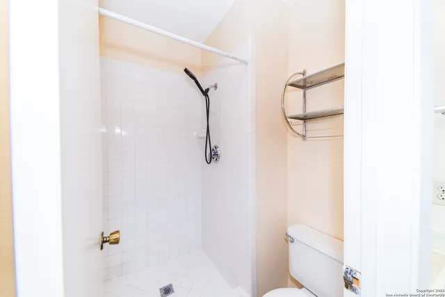 a bathroom with a shower and a toilet
