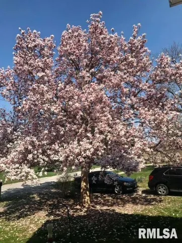 $80,000 | 306 Prairie Street, Franklin, IL 62638