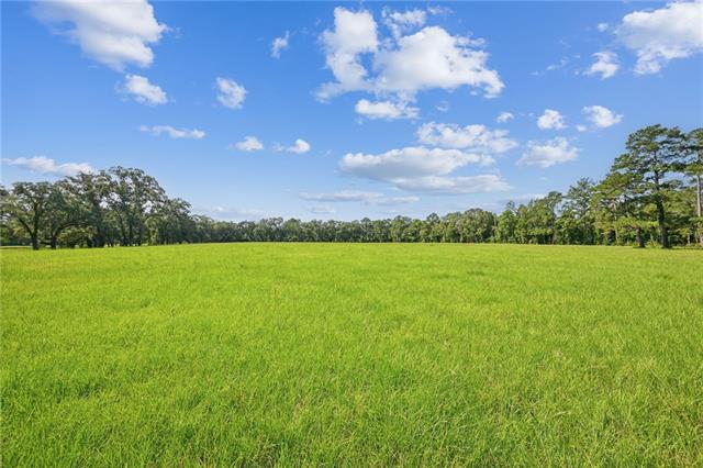 20460 Smith Road Covington, LA 70435 - Photo 4 of 45 Gallery Image 4