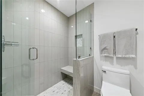a bathroom with a shower and toilet