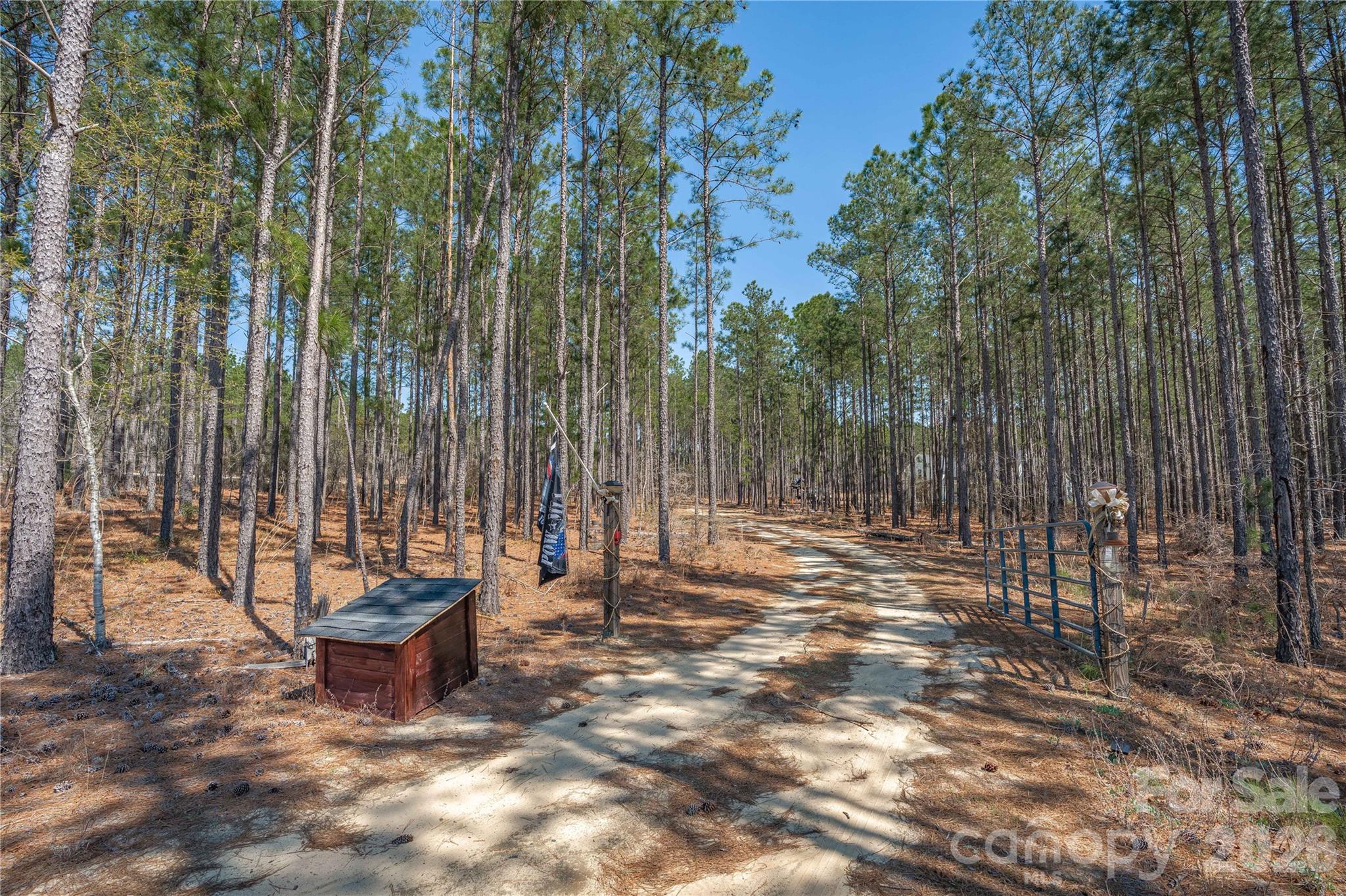 2138 Lockhart Road Camden, SC 29020 - Photo 3 of 47