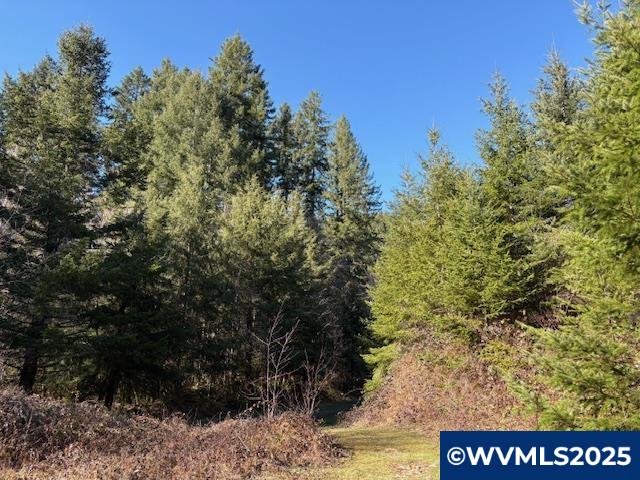0 Steer Creek Road Blodgett, OR 97326 - Photo 12 of 14