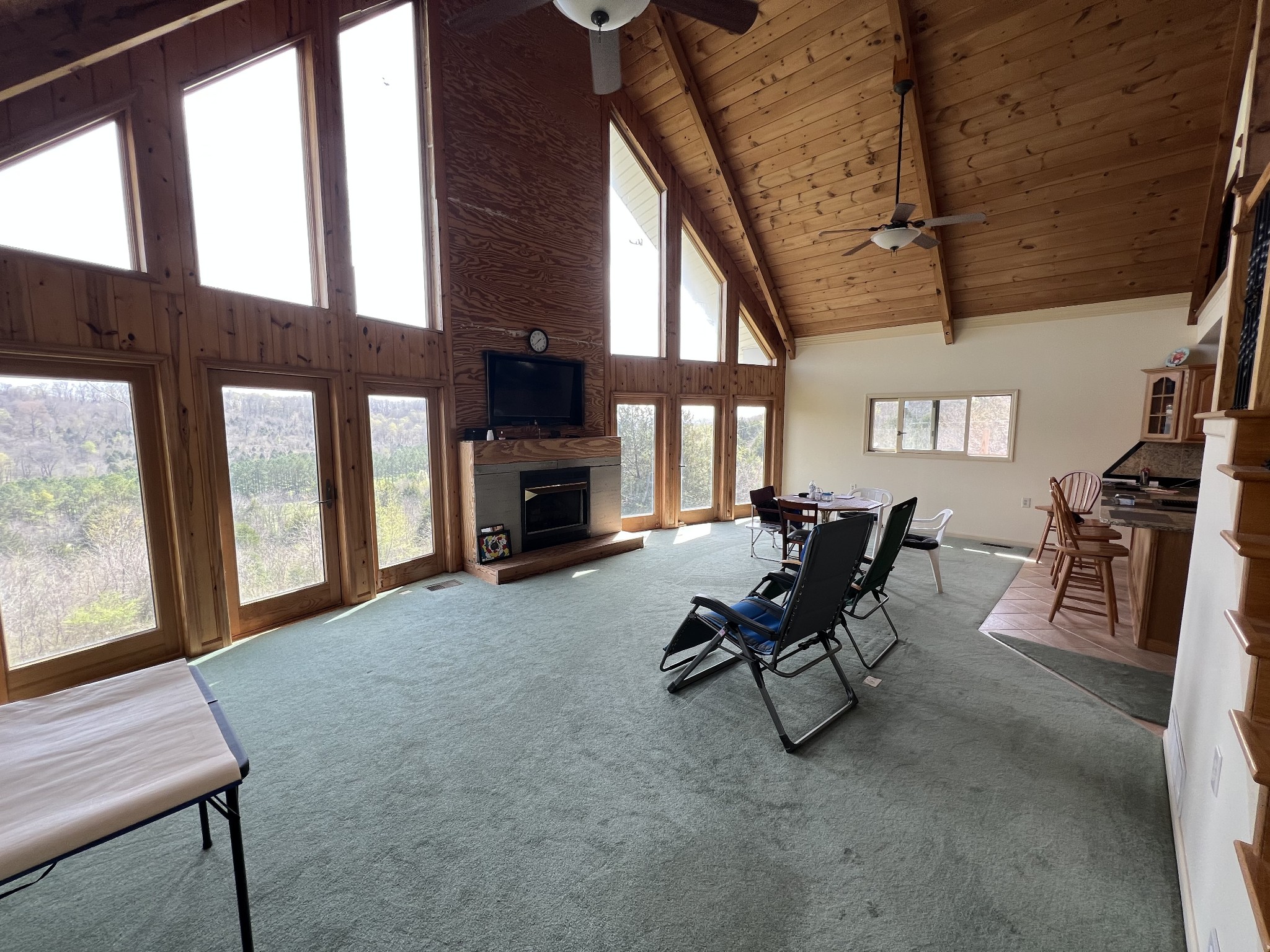 325 Hardy Road Pulaski, TN 38478 - Photo 5 of 42 a living room with furniture a fireplace and large windows