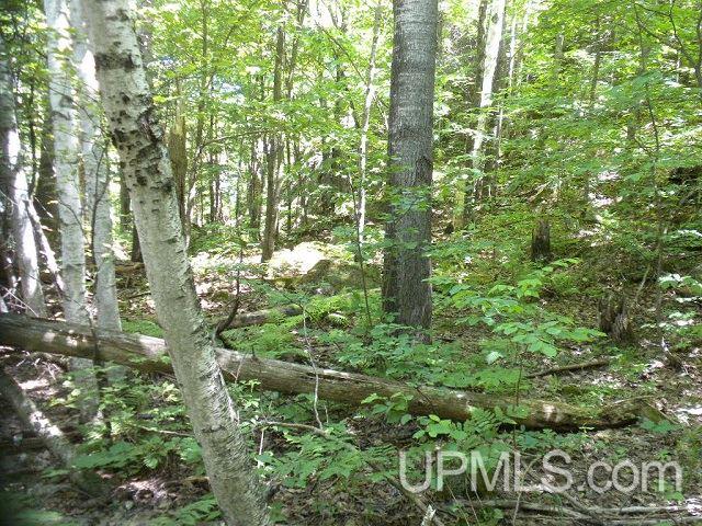 Tbd Elder Road Bessemer, MI 49911 - Photo 1 of 4 Gallery Image 1