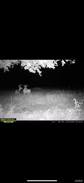 0 Robin Road Bellflower, MO 63333 - Photo 3 of 7 Gallery Image 3