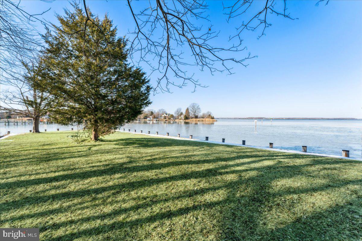 4801 Avery Road Shady Side, MD 20764 - Photo 9 of 25 a big yard with lots of green space