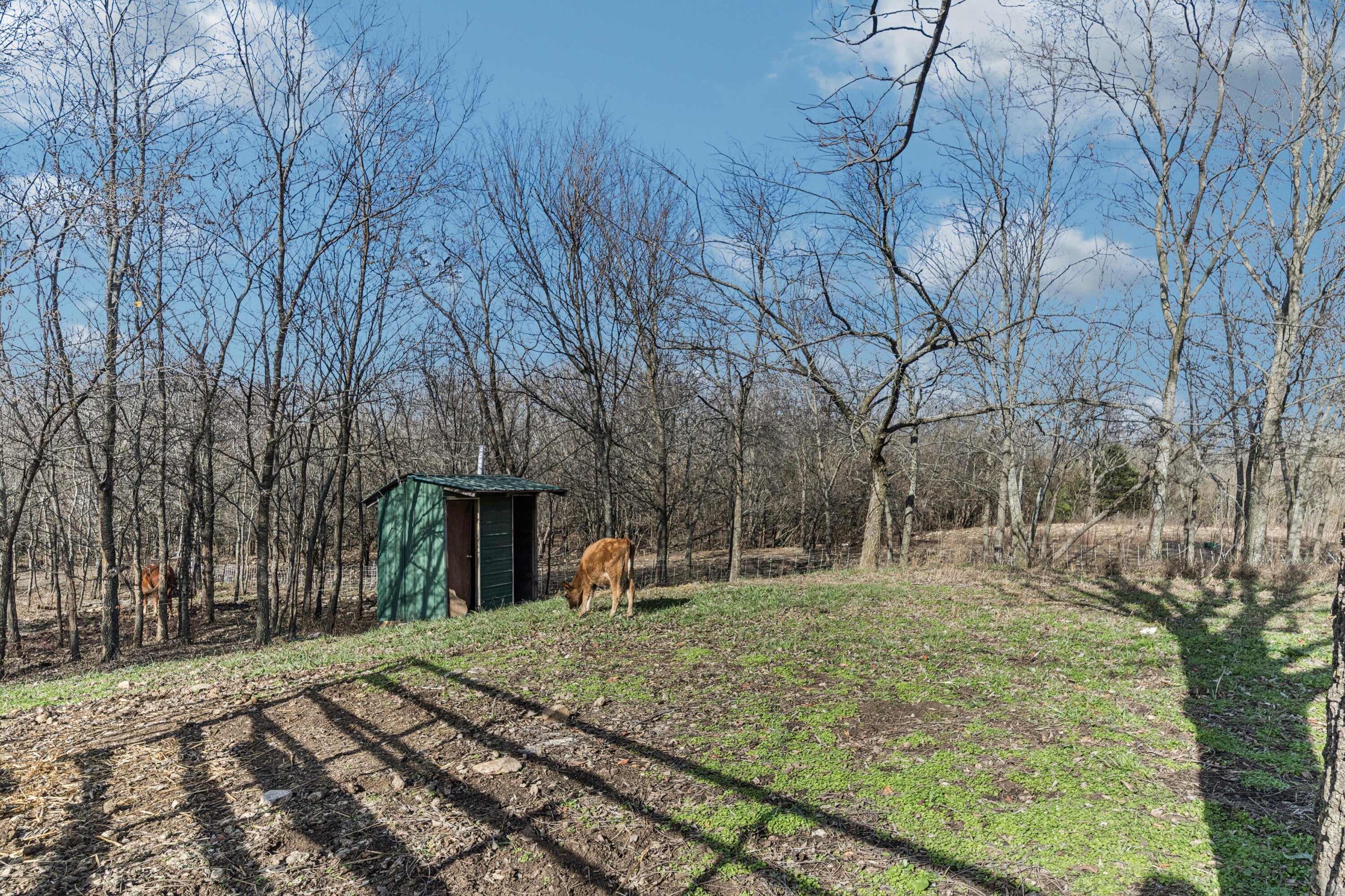 4514 South 4390 Road Welch, OK 74369 - Photo 19 of 61 59-4514 S 4390 Rd-362