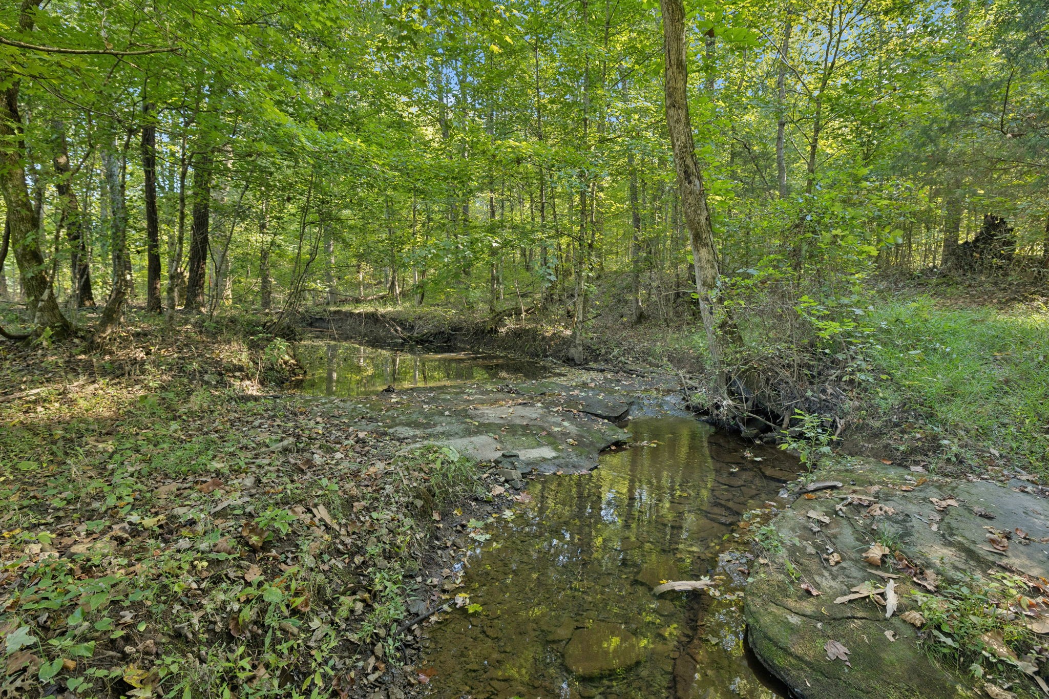 8435 Taliaferro Road Eagleville, TN 37060 - Photo 11 of 21