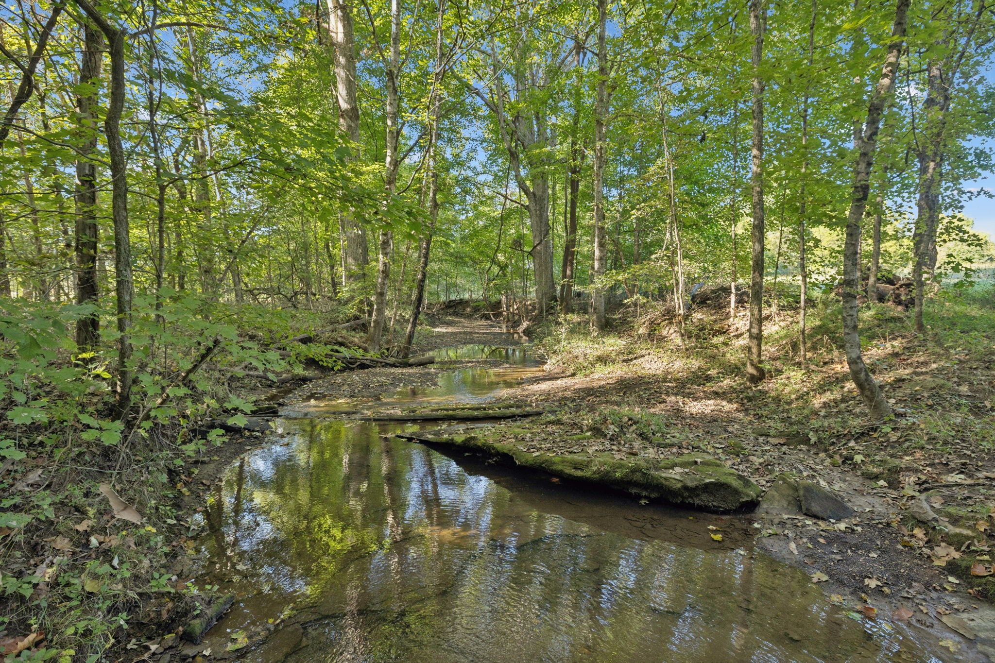 8435 Taliaferro Road Eagleville, TN 37060 - Photo 12 of 21