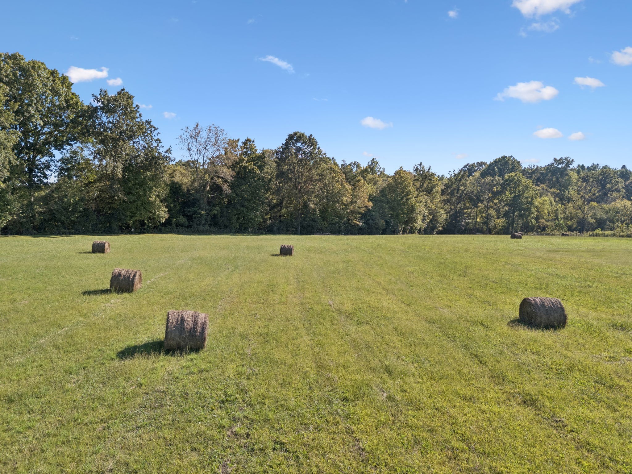 8435 Taliaferro Road Eagleville, TN 37060 - Photo 20 of 21