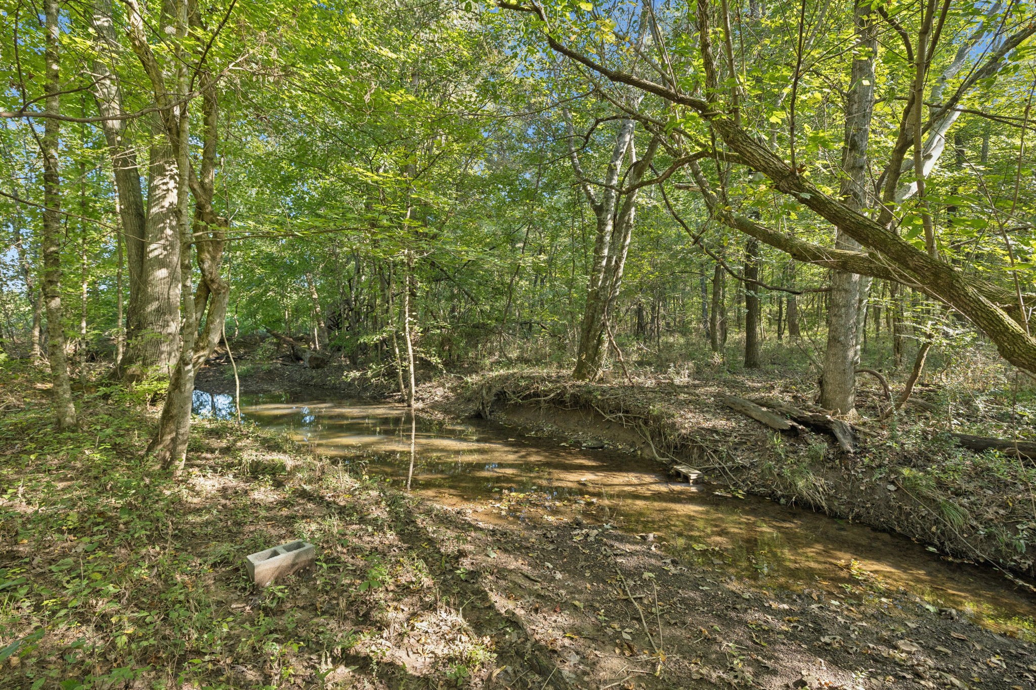 8435 Taliaferro Road Eagleville, TN 37060 - Photo 4 of 21