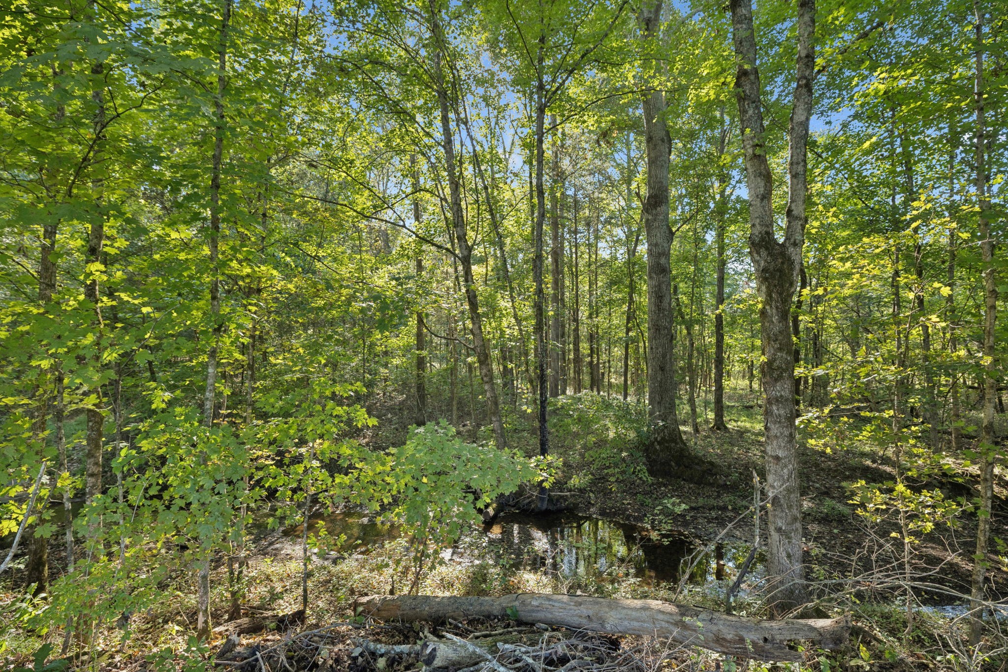 8435 Taliaferro Road Eagleville, TN 37060 - Photo 7 of 21