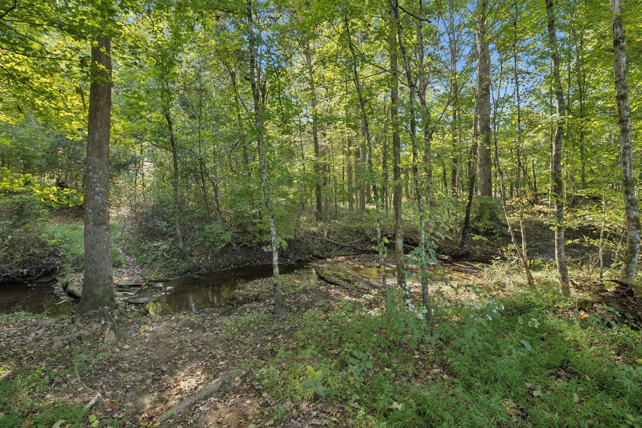 8435 Taliaferro Road Eagleville, TN 37060 - Photo 8 of 21