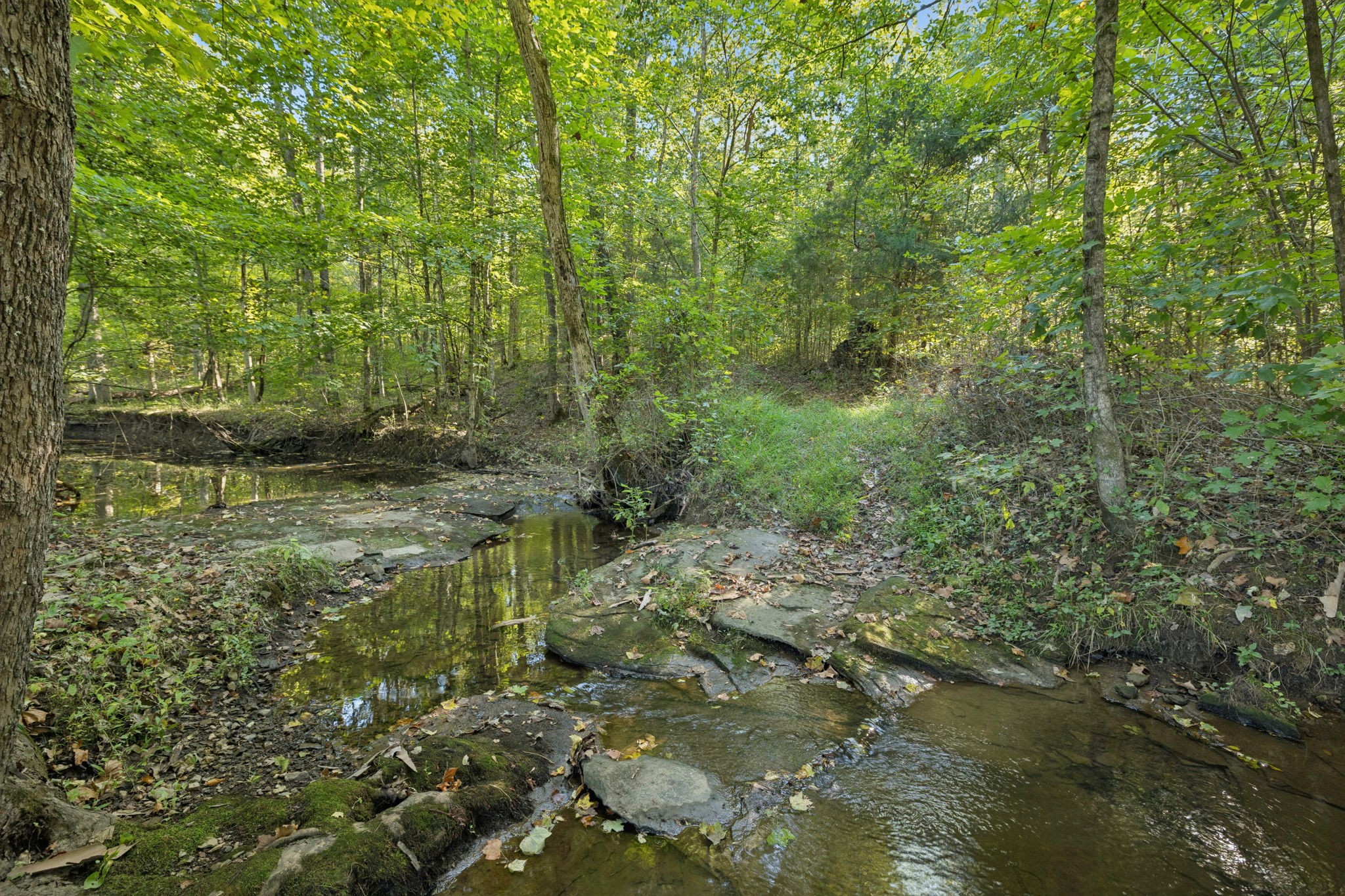 8435 Taliaferro Road Eagleville, TN 37060 - Photo 9 of 21