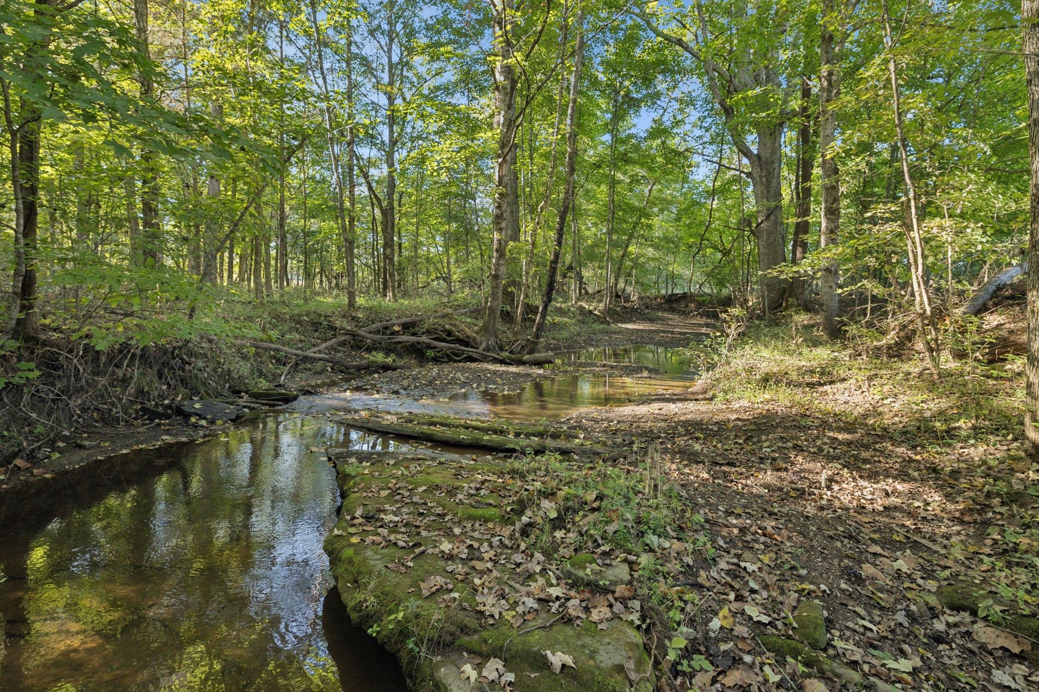 8435 Taliaferro Road Eagleville, TN 37060 - Photo 10 of 21
