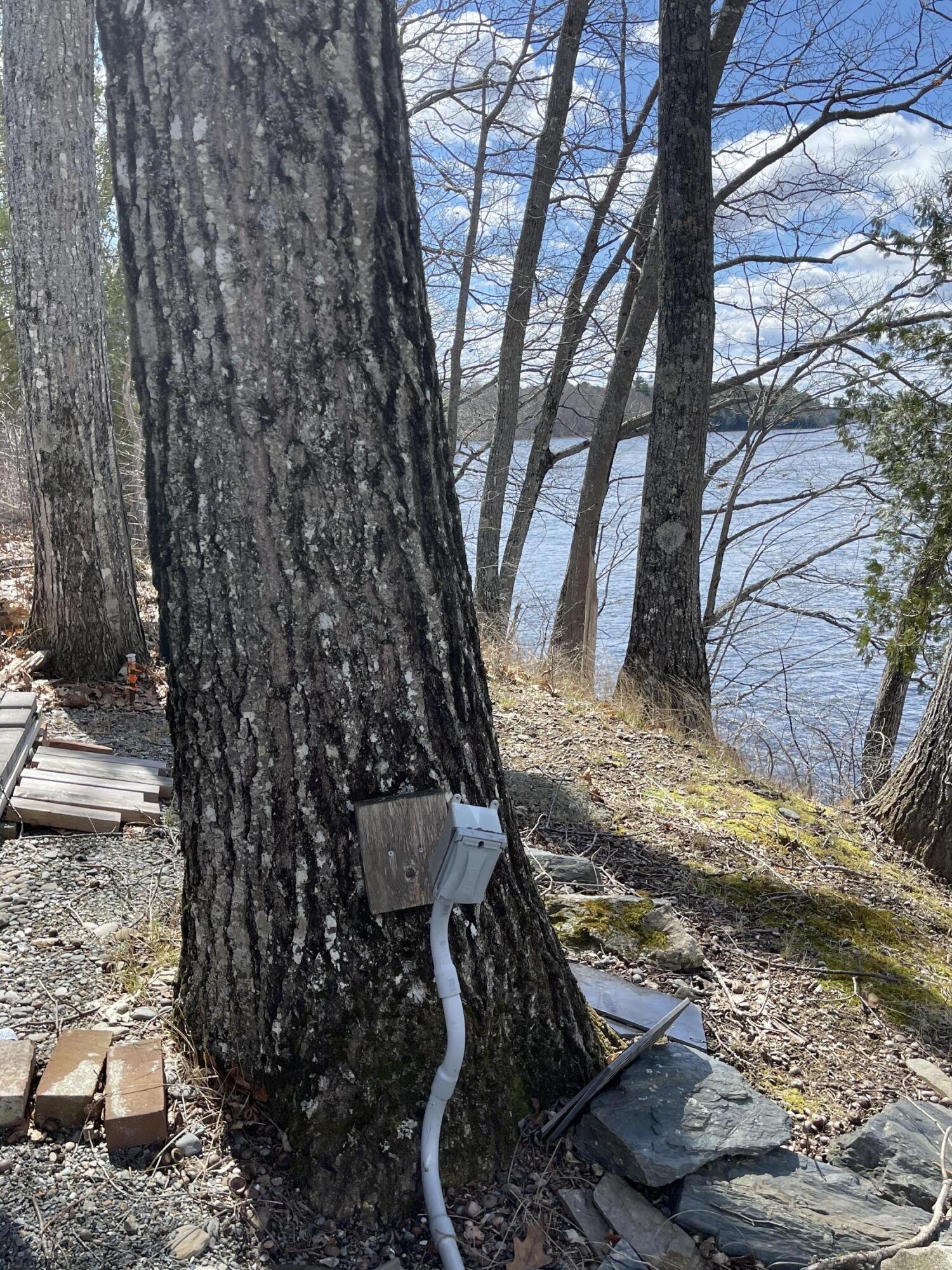 638 Riverside Drive Eddington, ME 04428 - Photo 19 of 219 30DEF998-B500-431F-83A2-307AE290AA33