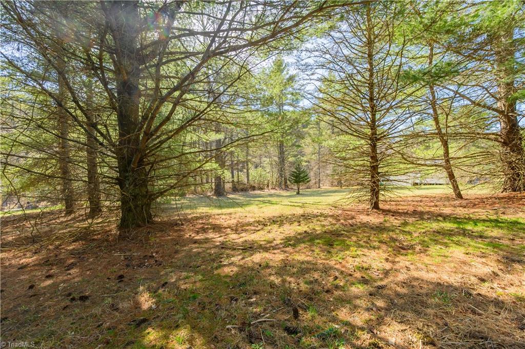 Tbd Kings Store Road Northeast Floyd, VA 24091 - Photo 3 of 25