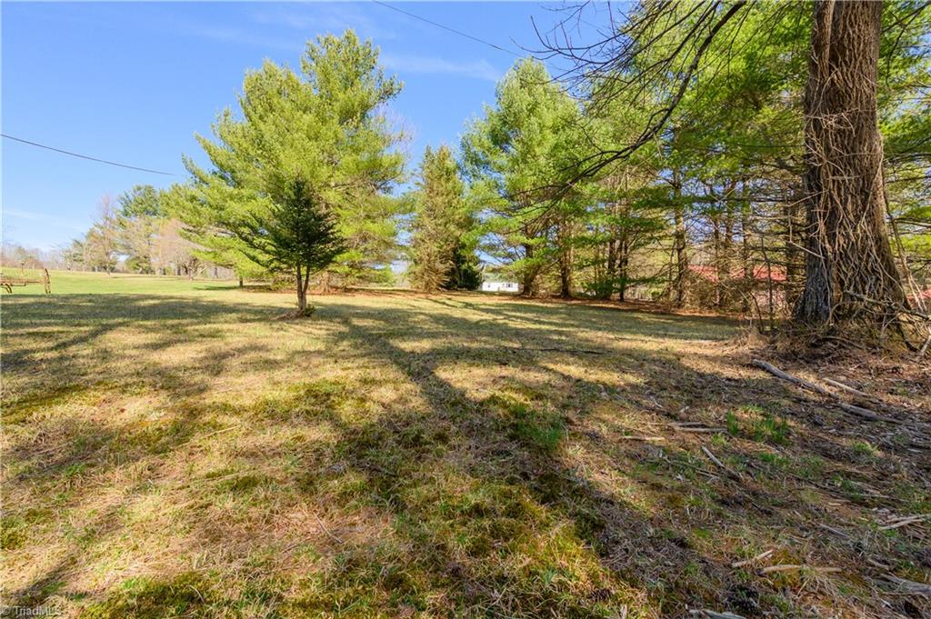 Tbd Kings Store Road Northeast Floyd, VA 24091 - Photo 5 of 25