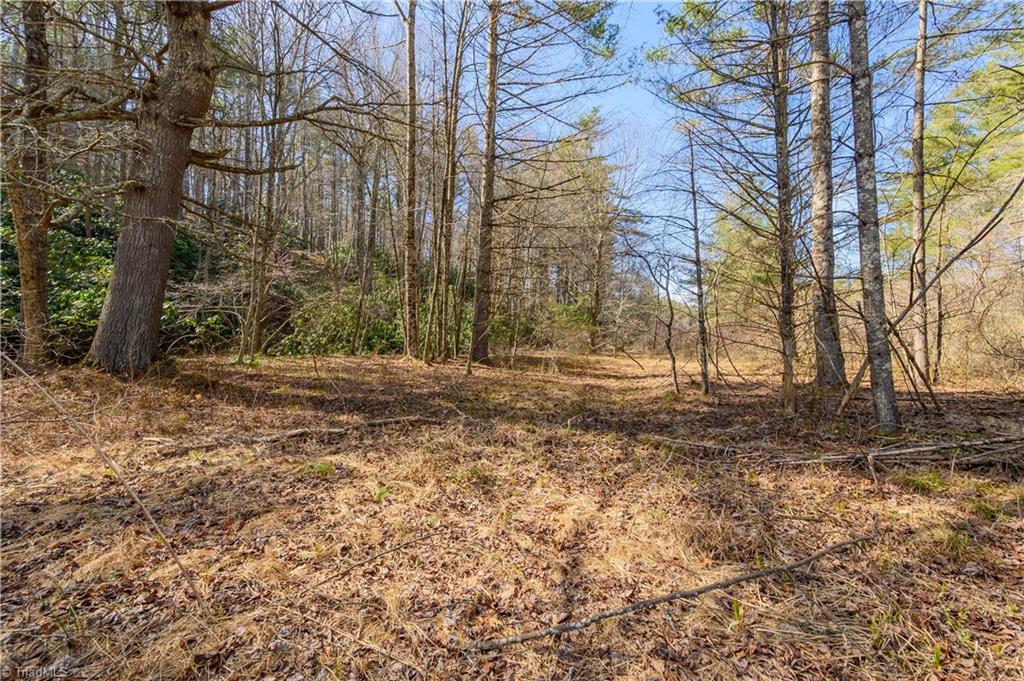 Tbd Kings Store Road Northeast Floyd, VA 24091 - Photo 6 of 25