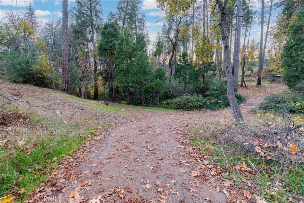 1770 Heynen Road Paradise, CA 95969 - Photo 11 of 18 a view of a yard with trees