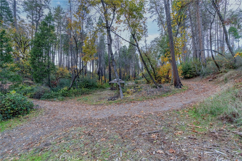 1770 Heynen Road Paradise, CA 95969 - Photo 12 of 18 a backyard of a house with lots of green space