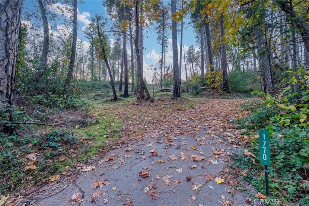 1770 Heynen Road Paradise, CA 95969 - Photo 13 of 18 a backyard of a house with lots of green space