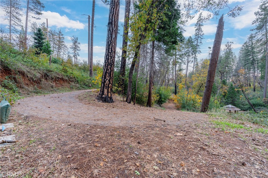 1770 Heynen Road Paradise, CA 95969 - Photo 14 of 18 a view of a field with trees in the background