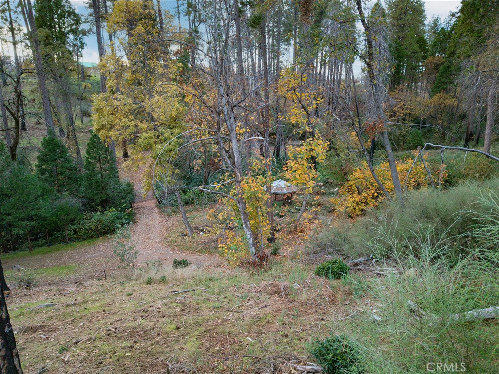 1770 Heynen Road Paradise, CA 95969 - Photo 16 of 18 a view of a yard with plants and trees