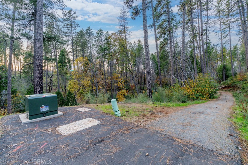 1770 Heynen Road Paradise, CA 95969 - Photo 17 of 18 a view of a yard with trees
