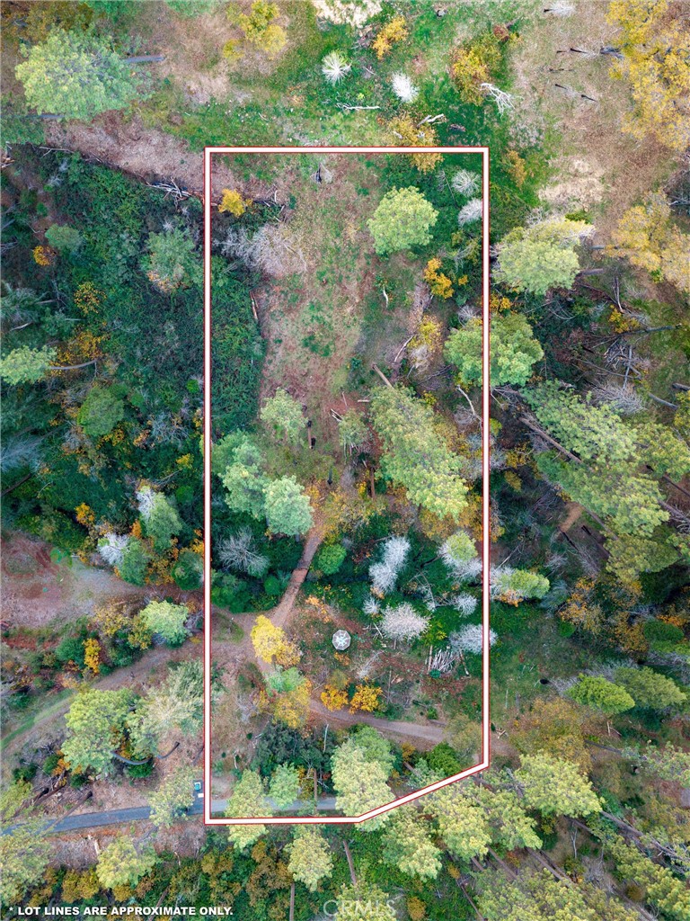 1770 Heynen Road Paradise, CA 95969 - Photo 18 of 18 a view of a small yard