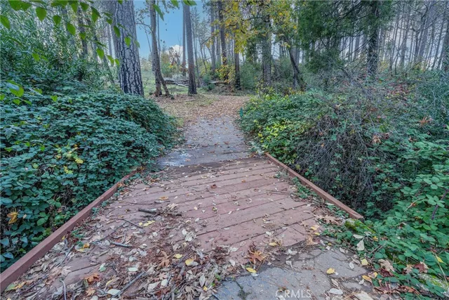 a view of a pathway with a yard