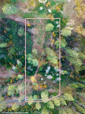 a view of a small yard