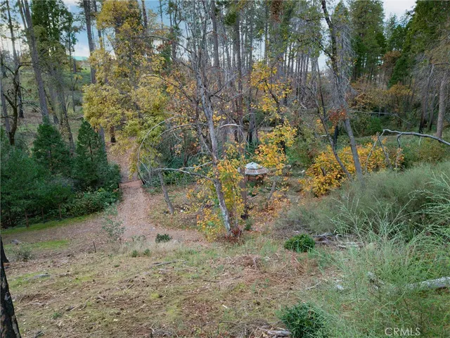 a view of a yard with plants and trees