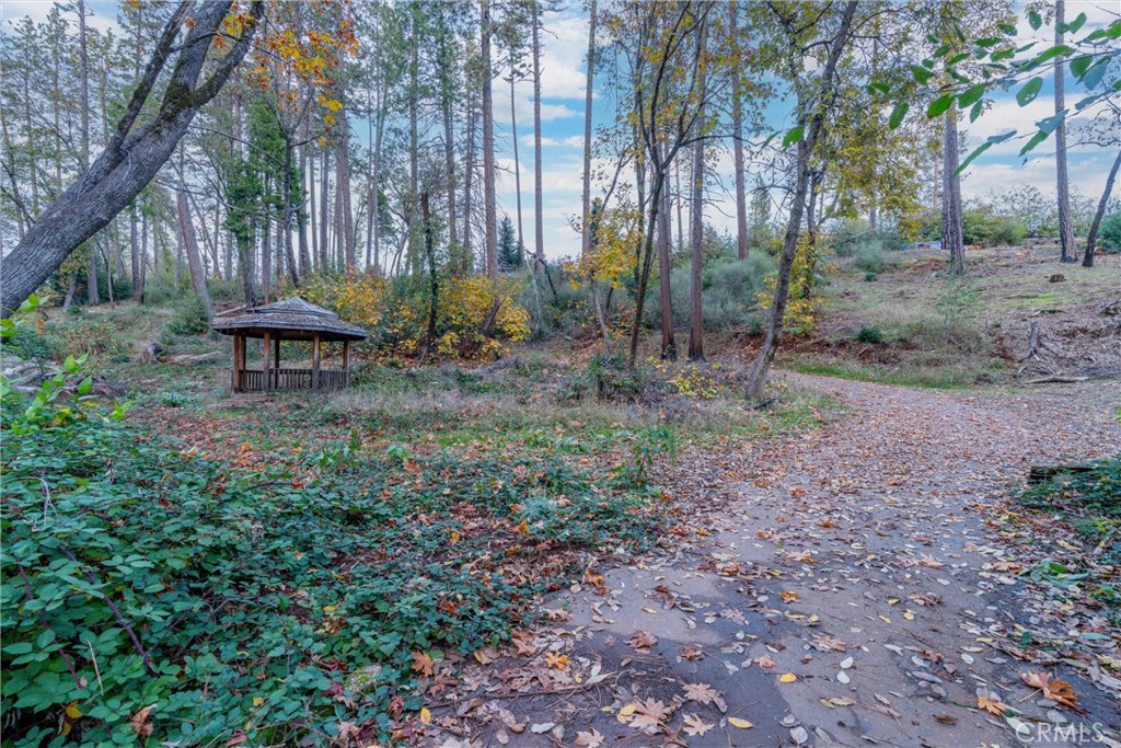 1770 Heynen Road Paradise, CA 95969 - Photo 4 of 18 a view of a backyard with large trees