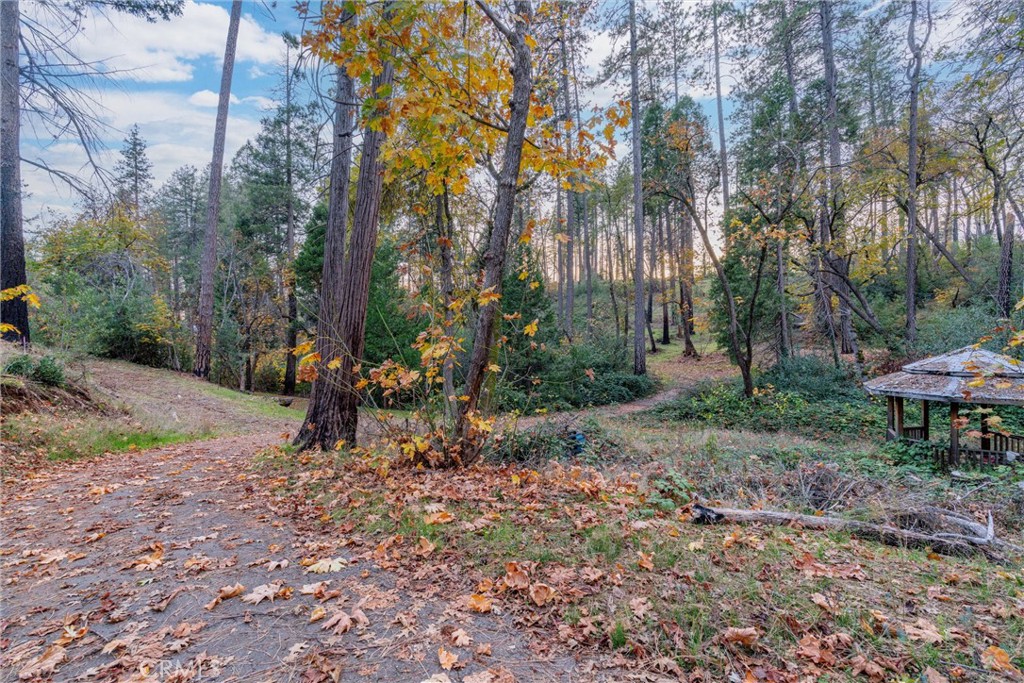 1770 Heynen Road Paradise, CA 95969 - Photo 6 of 18 a view of a backyard with a table and chairs