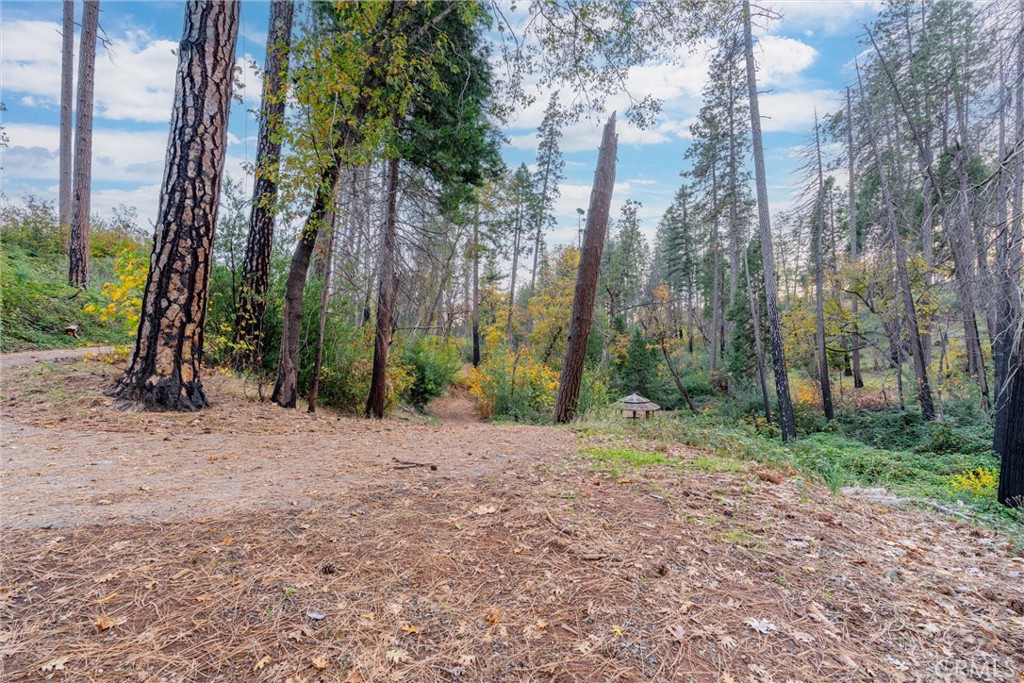 1770 Heynen Road Paradise, CA 95969 - Photo 8 of 18 a backyard of a house with lots of green space